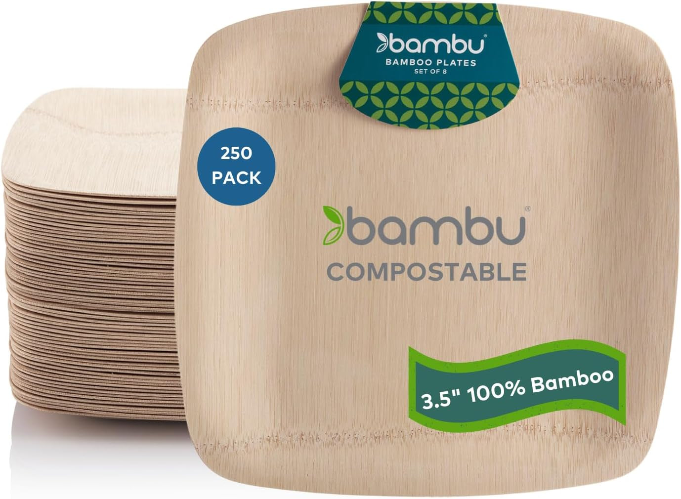 Bambu Pack of 25 - 11 Inch Disposable Bamboo Plates Square, Biodegradable Eco Friendly Products, Bamboo Disposable Plates for Events, Compostable