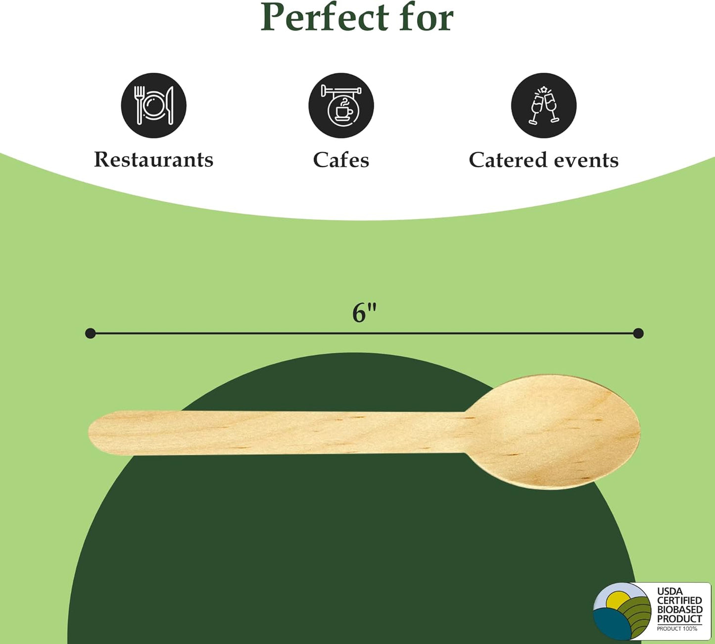 Birchwood Disposable Cutlery (100, Spoon)