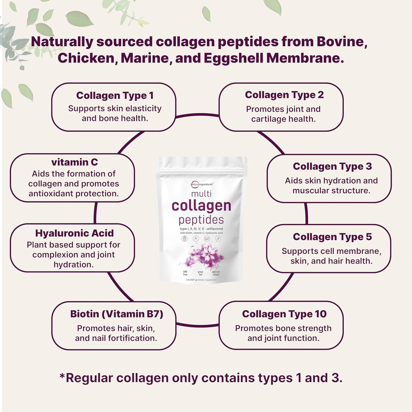 Multi Collagen Protein Powder, 2lbs – Hydrolyzed Collagen Peptides | Type I,II,III,V,X with Biotin 10000mcg, Hyaluronic Acid, Vitamin C – Unflavored – Keto & Paleo Friendly, Easy Dissolve, Non-GMO
