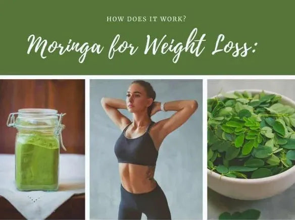 Moringa Powder Magic: Discover the Surprising, Heartfelt Secret to Weight Management