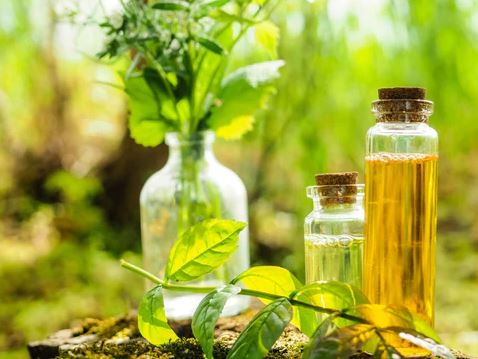 Unlocking the Aromatic Powers of Moringa Oil: A Path to Enhanced Well-being