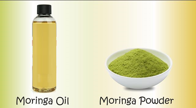 Nature's Powerhouses Unveiled: Moringa Powder vs. Moringa Oil