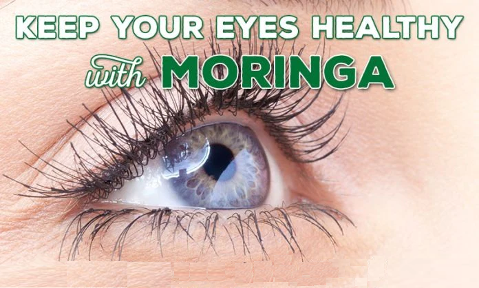 Unlock Vision Vitality: Moringa's Secret to Peak Eye Health