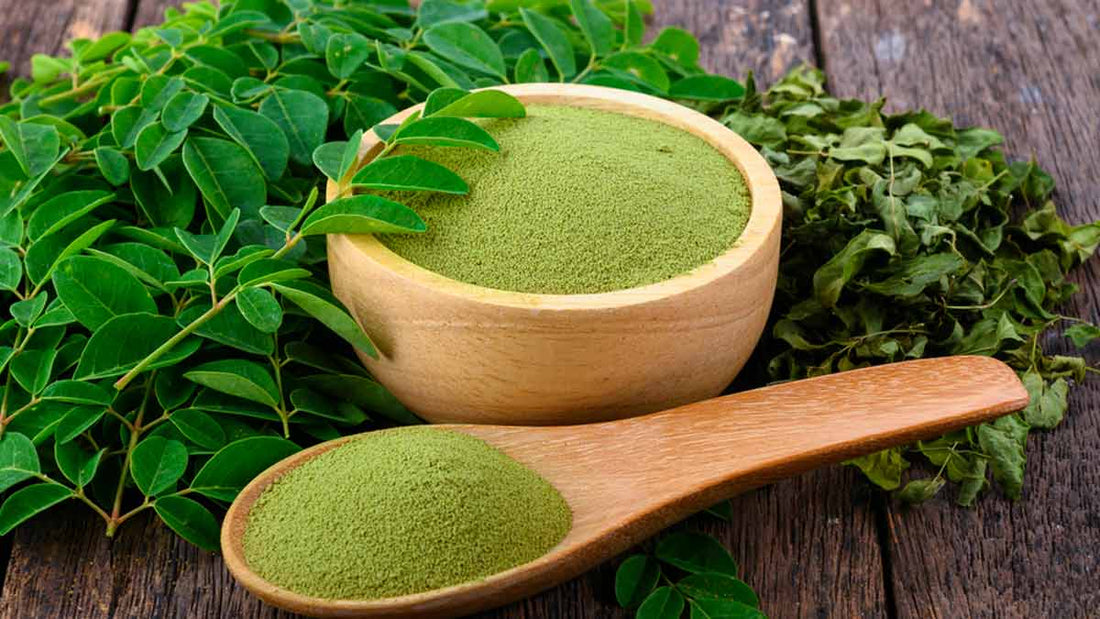 Moringa Powder: Unlocking the Power of Nature's Superfood