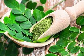 Moringa: A Green Powerhouse for Bone Health and Beyond