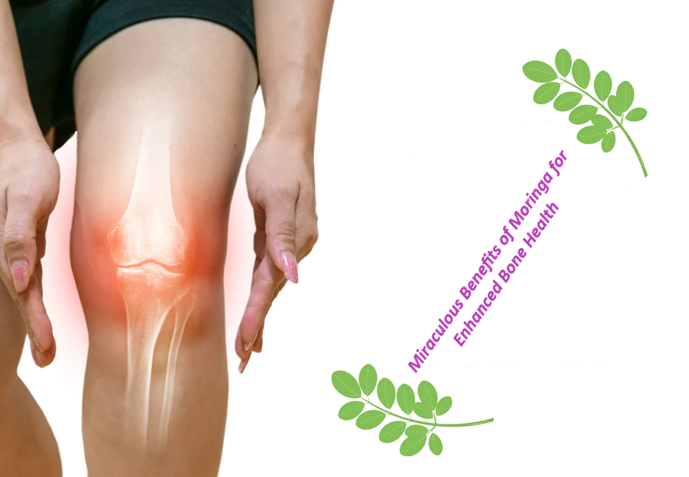 Unlocking Bone Vitality: Discover the Miraculous Benefits of Moringa Powder for Enhanced Bone Health