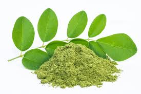 Discover the Magic of Moringa Powder: Elevate Your Health with This Nutrient-Packed Superfood