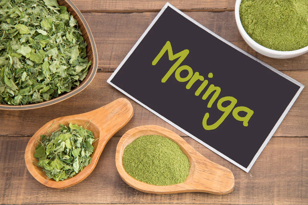 Moringa Powder Miracles: Unveiling a Natural Digestive Health Revolution