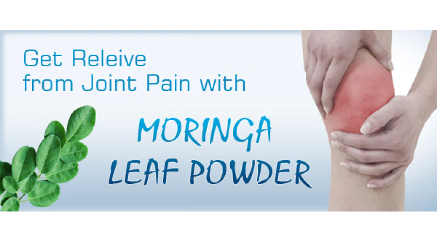 Moringa Miracles: Unveil the Secret to Soothing Arthritis Pain and Fortifying Bone Health