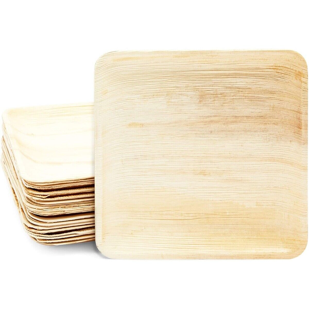 Palm Leaf Plates Bamboo Paper Plates Disposable 6 Inch 100 Bulk by Ecovib.