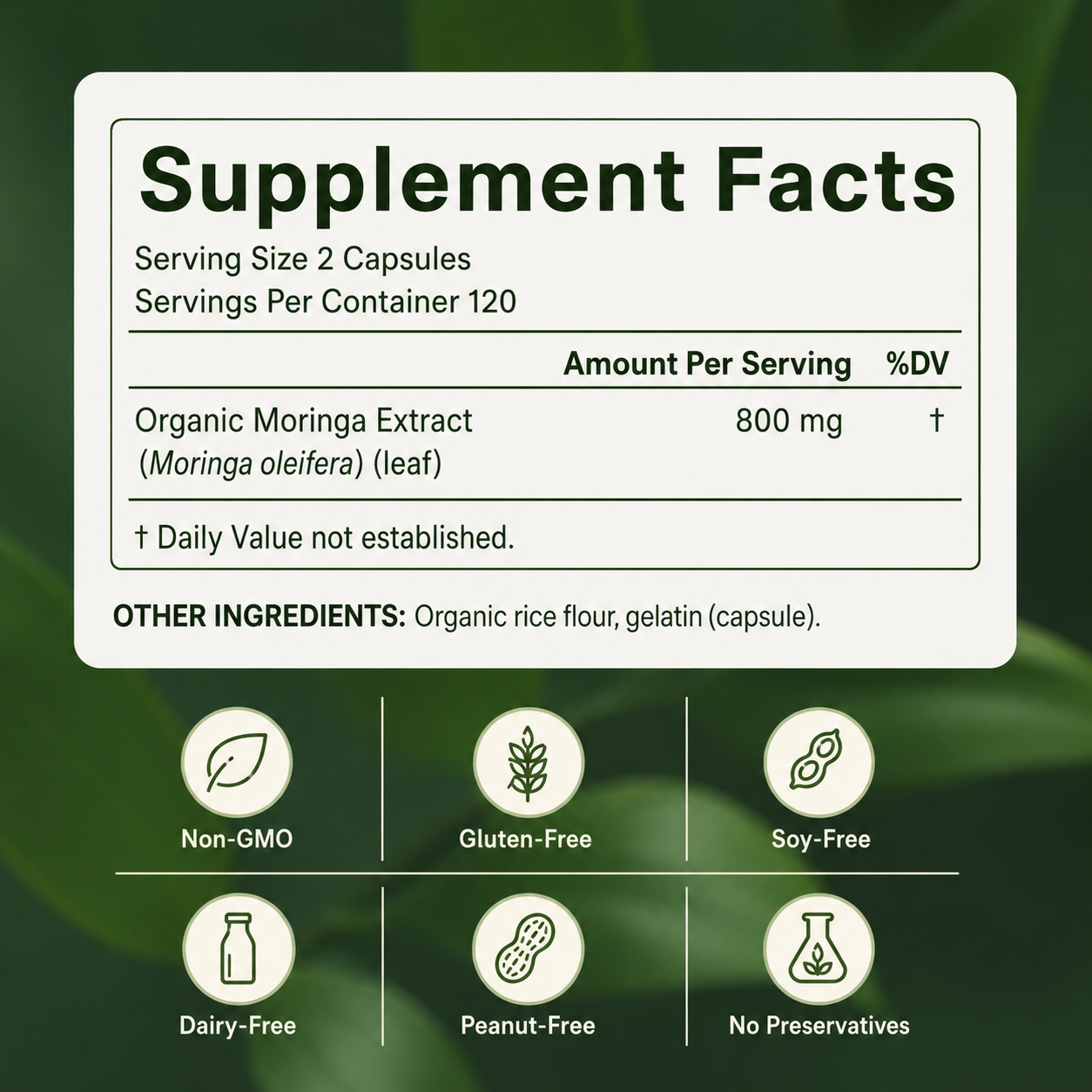 Ecovib Organic Moringa Capsules 800mg – Energy & Immune Support – 60 Vegetarian Capsules