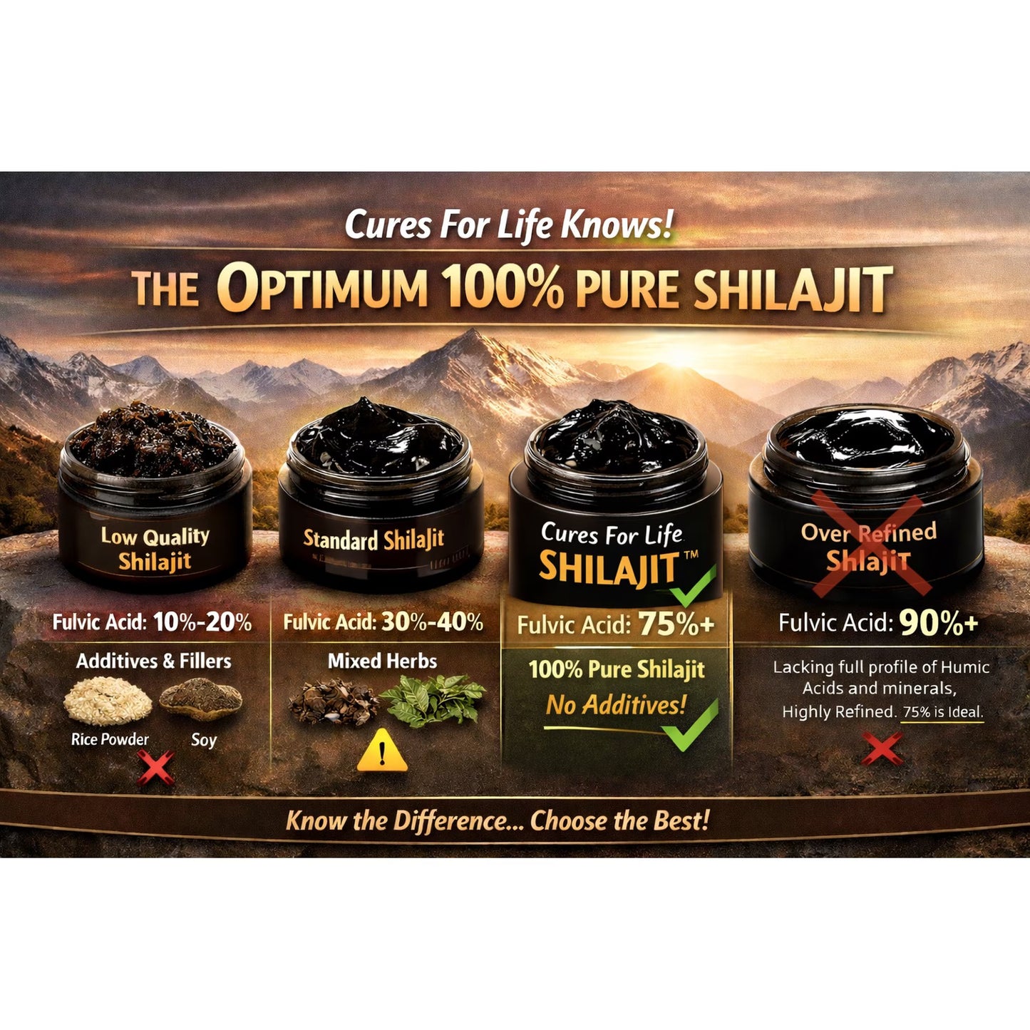 Pure Himalayan Shilajit Resin 1.76 oz – High Potency 75% Fulvic Acid, Natural Energy, Stamina & Focus Support