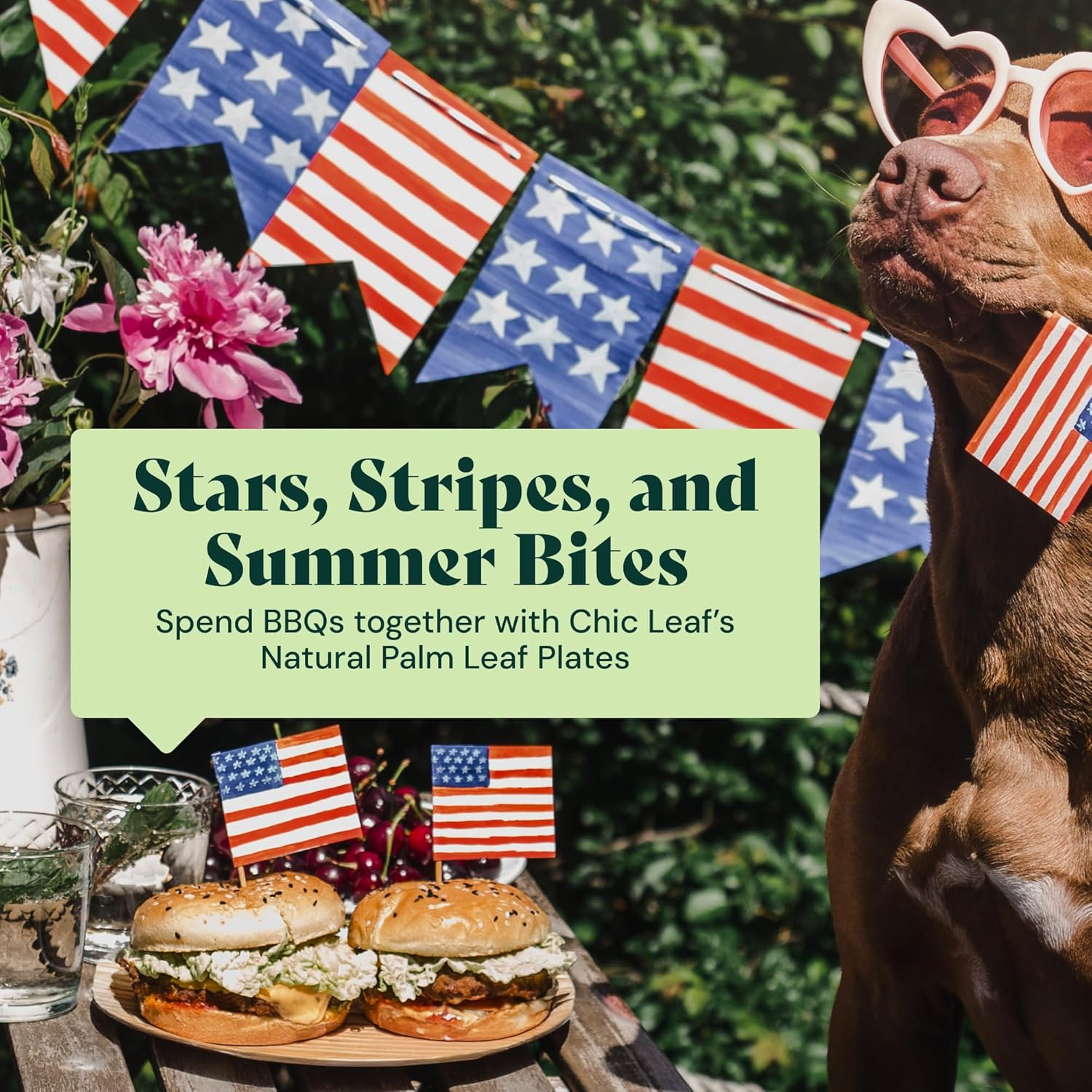 Chic Leaf Compostable & Biodegradable Palm Leaf Disposable Bamboo Plates - Disposable Party Plates for 4Th of July Appetizers & Charcuterie Boards (6'' - 50 Pack)