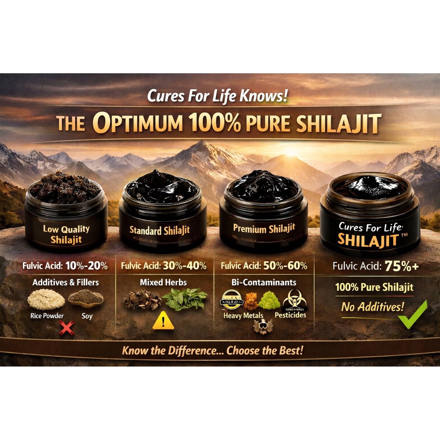 Pure Shilajit Resin Supplement with Fulvic Acid and Himalayan Trace Minerals