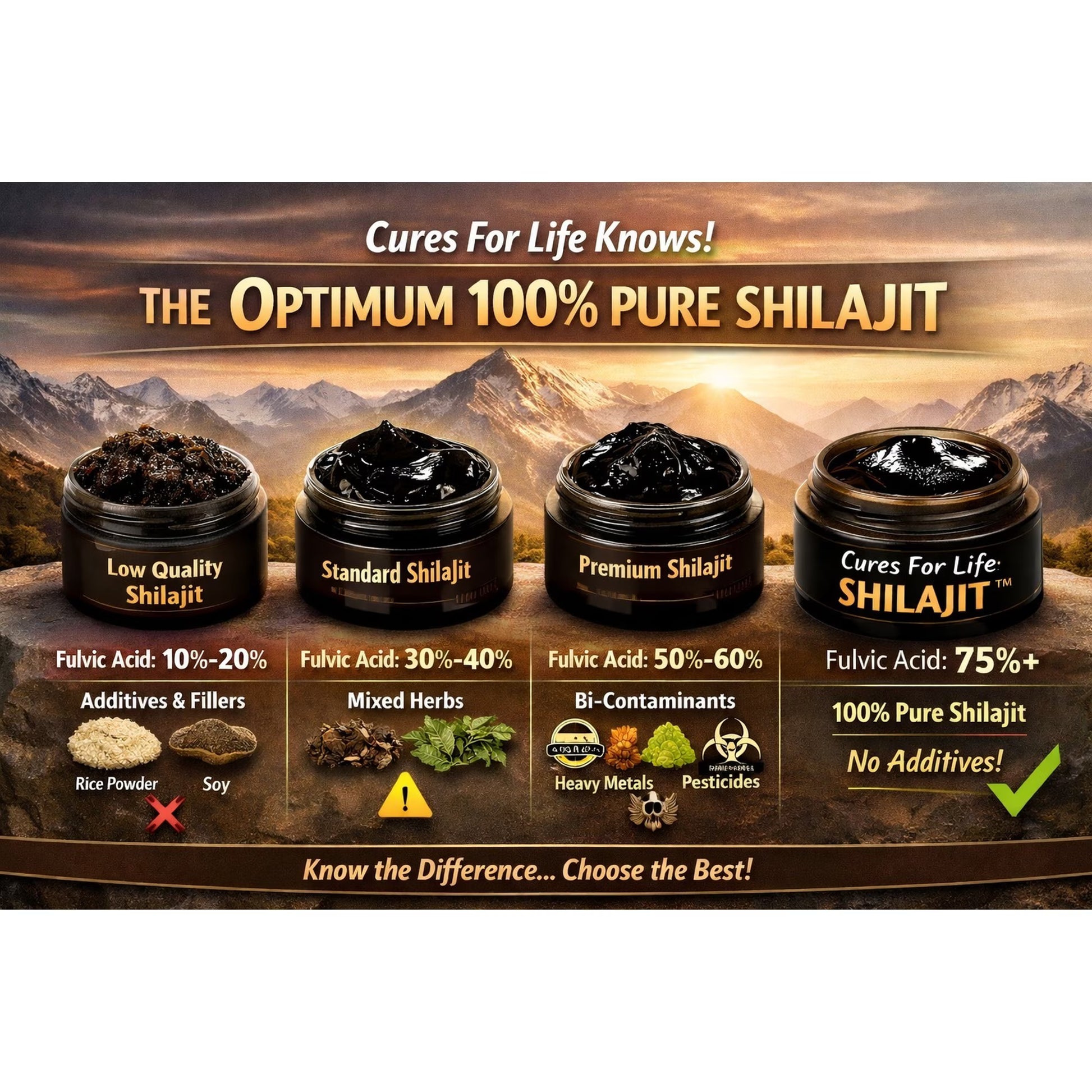 Pure Shilajit Resin Supplement with Fulvic Acid and Himalayan Trace Minerals